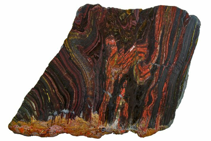 Polished Tiger Iron Stromatolite Slab - Billion Years #162118